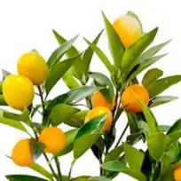 西藏万冰制冷设备安装有限公司