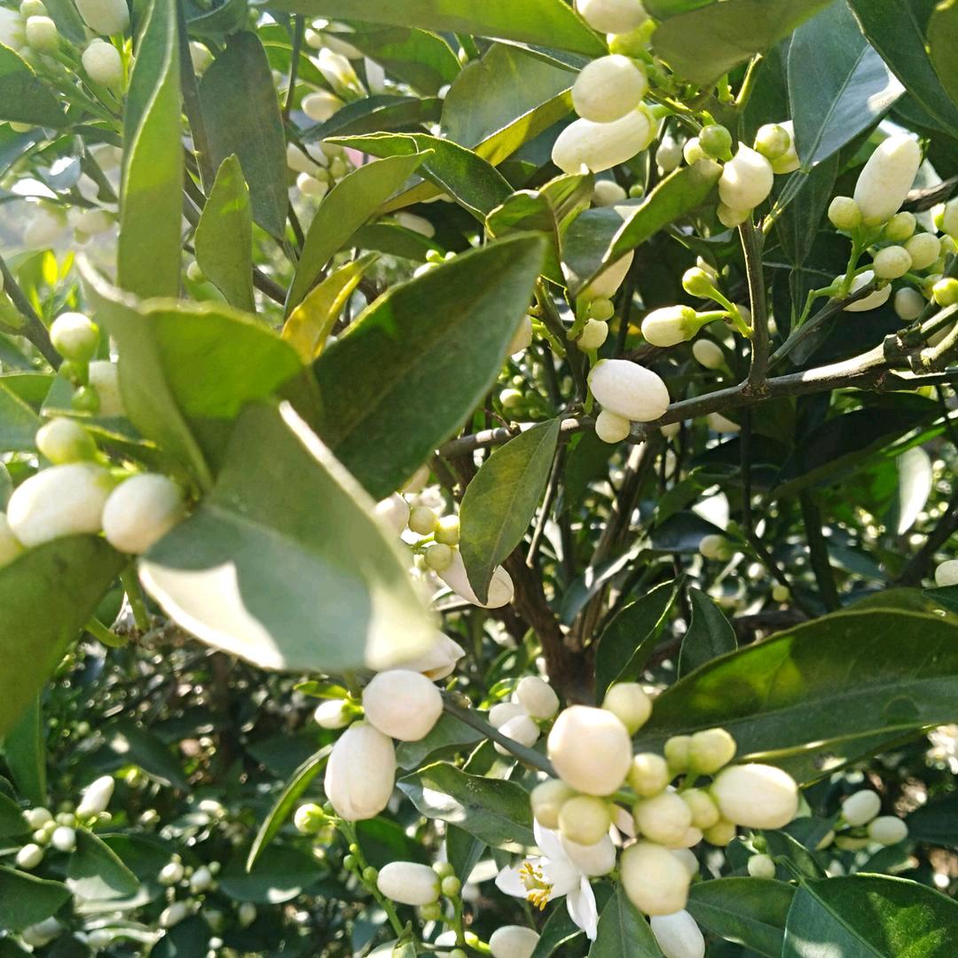 平安幸福快乐每一天