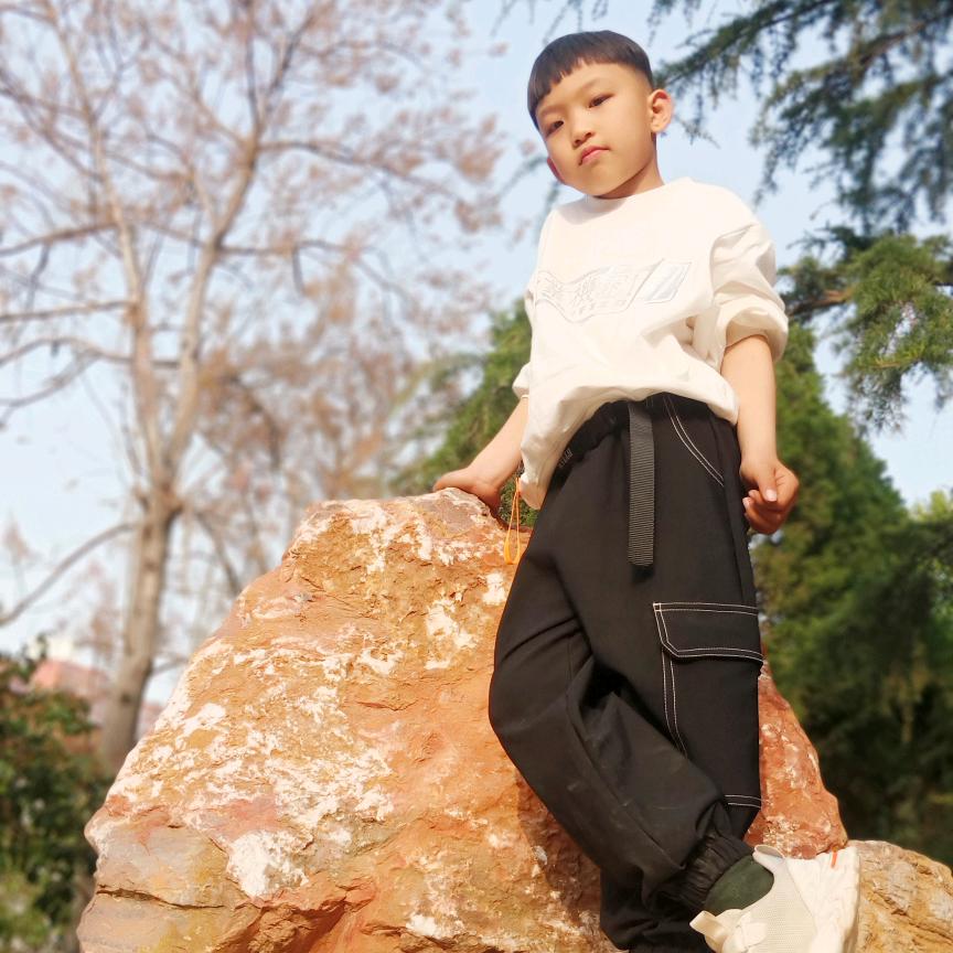 后天下之乐而乐