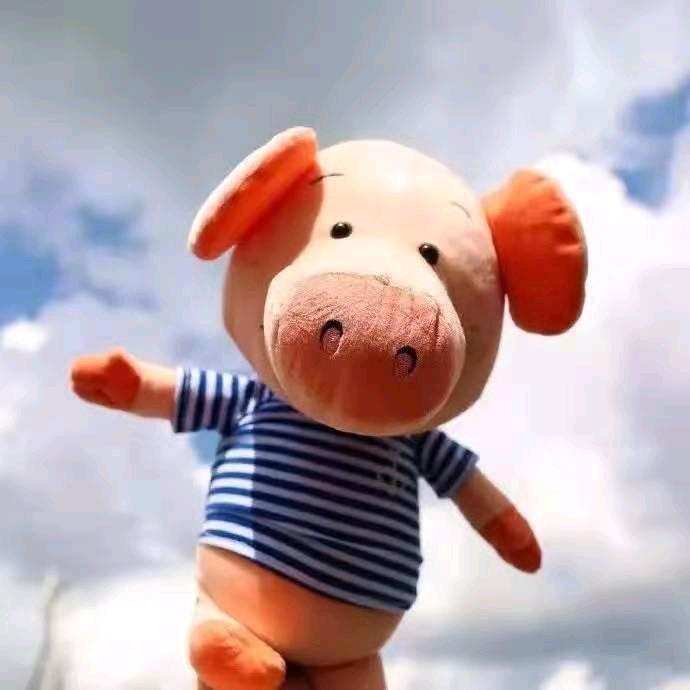 コ 夏日纠结成风