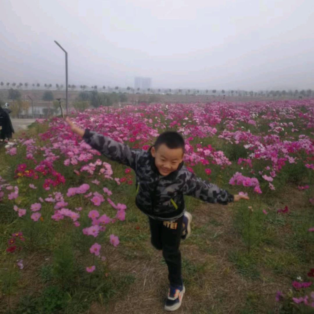 再见时光