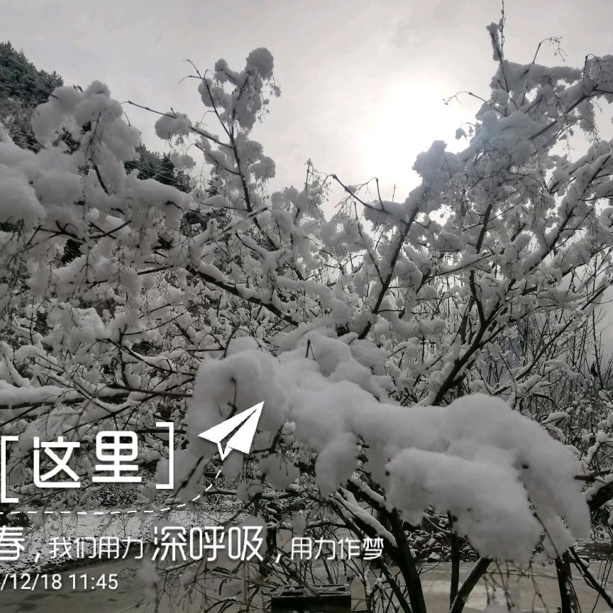 阿楠