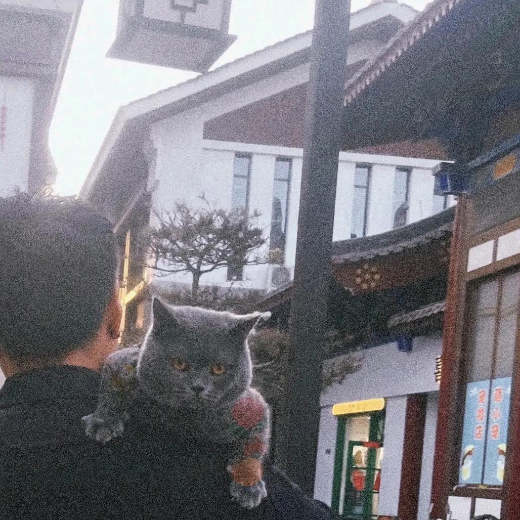 1米92的小李
