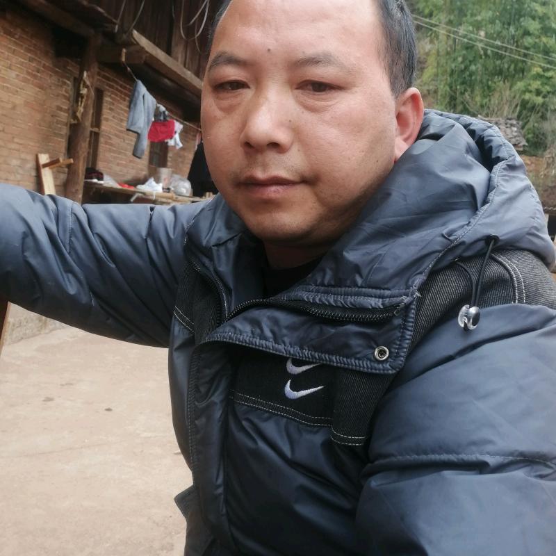 飞哥
