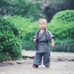 理      想