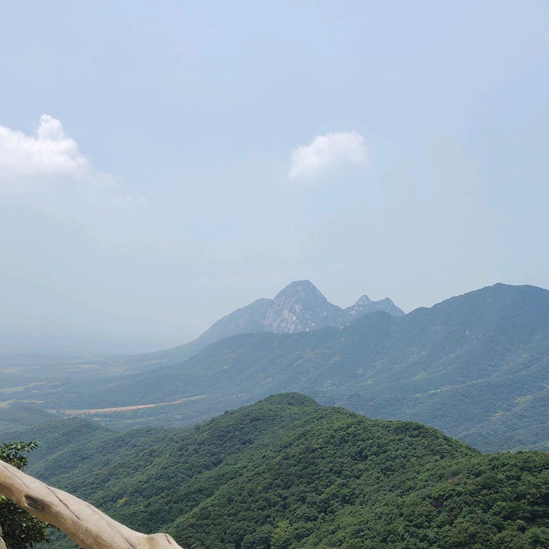 小飞侠环境全国连锁除甲醛运营总部