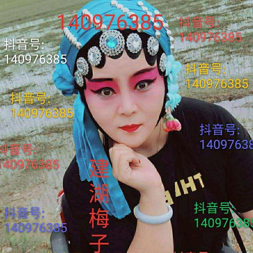 建湖梅子
