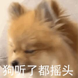 老狮就爱玩