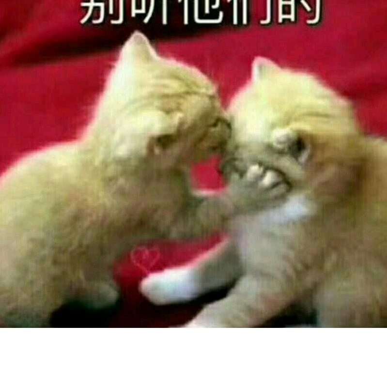 李红