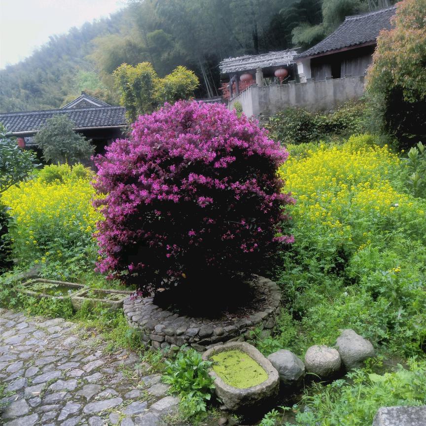 桐岭山庄阿丰