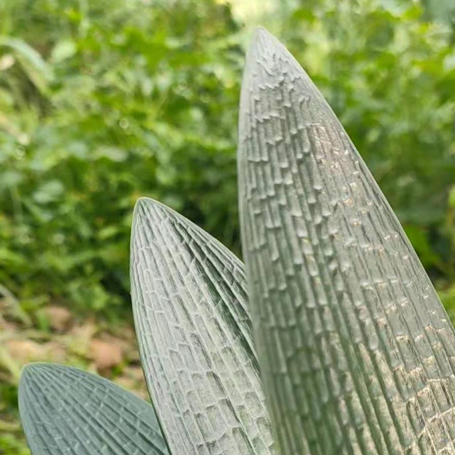 长春少华花卉种植基地