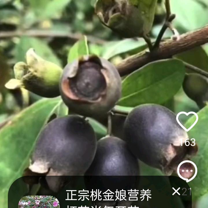 宏哥