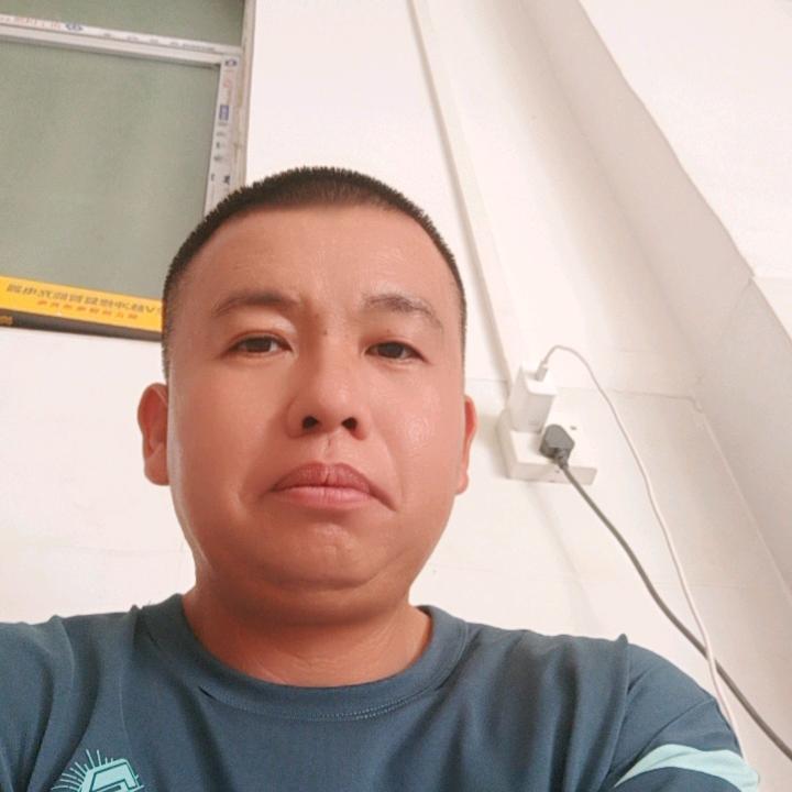 蹦蹦，伐木运输一条龙服务