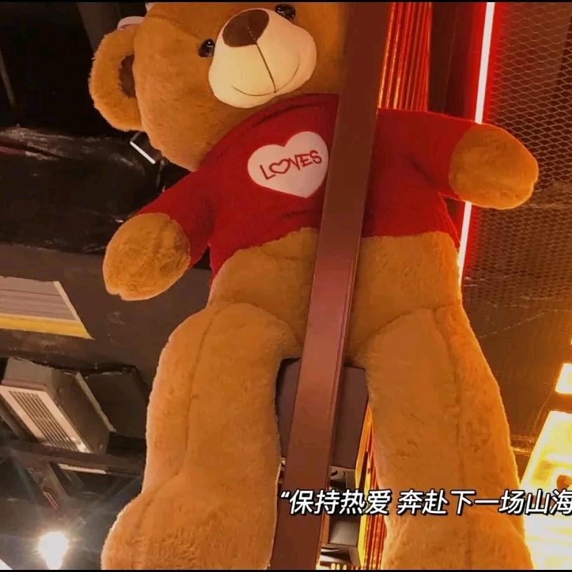 伏尾窗的猫