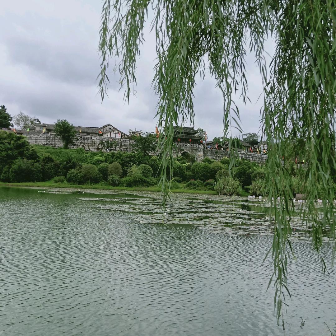 弱水三千