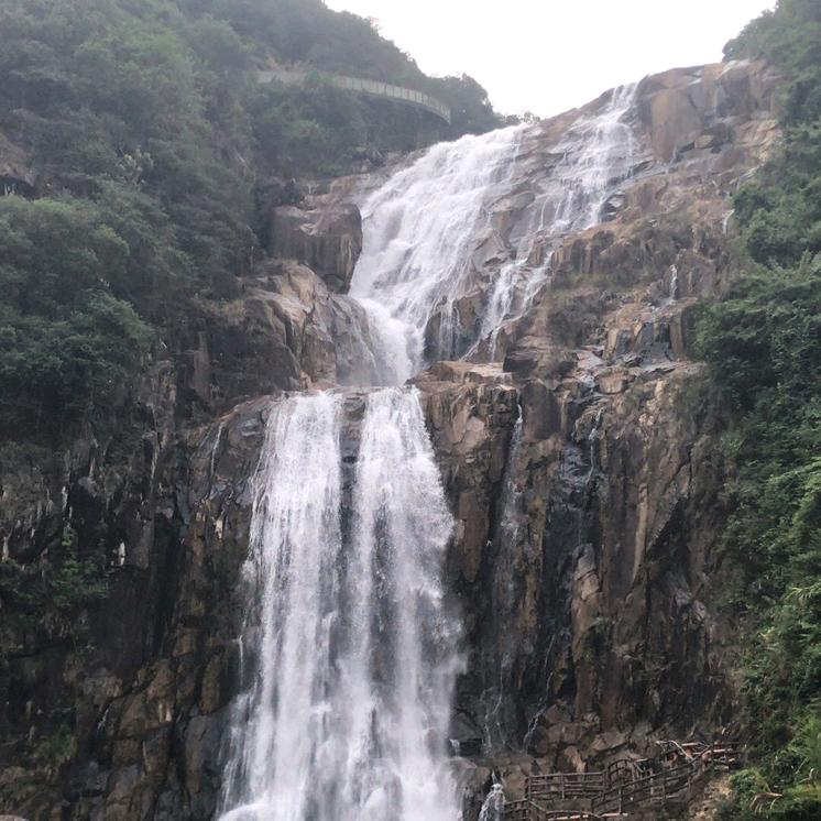 鮀兴