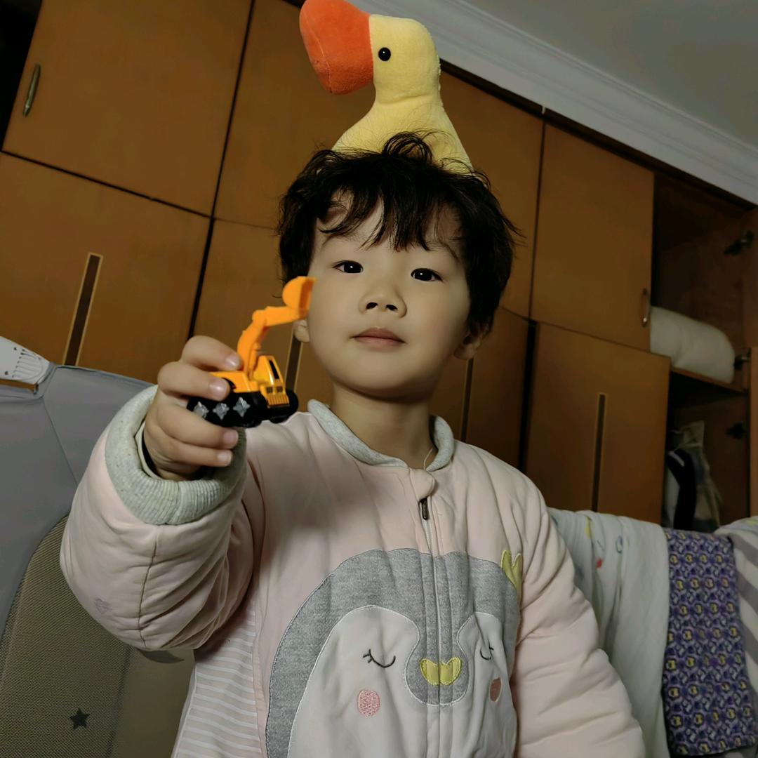 树袋熊。