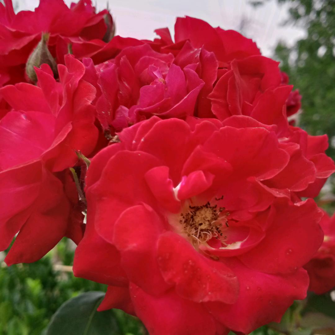 春暖花开/