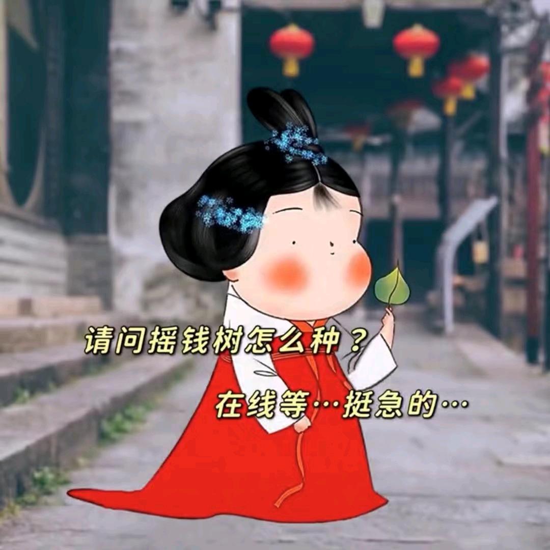 晴天🌻