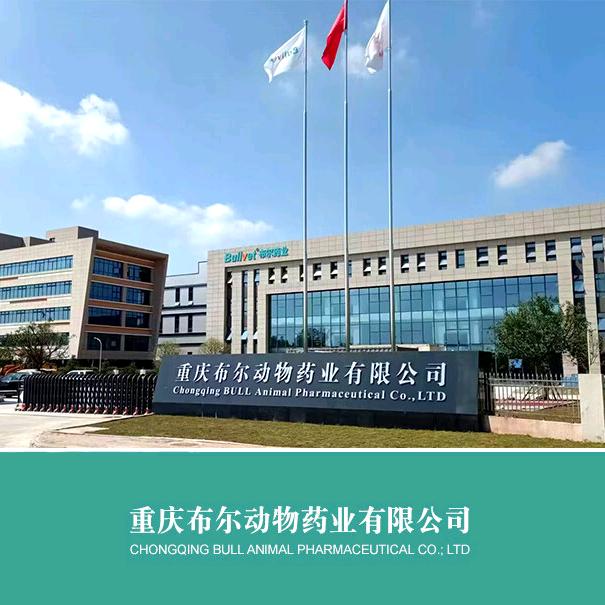 Bullvet布尔动物宠物用品专卖店