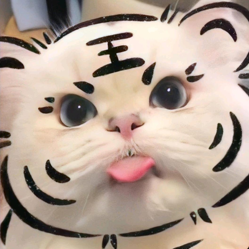 尘世美咨询服务