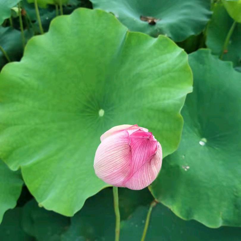 ✧*｡٩(ˊ 流年岁月✧*｡٩(ˊ