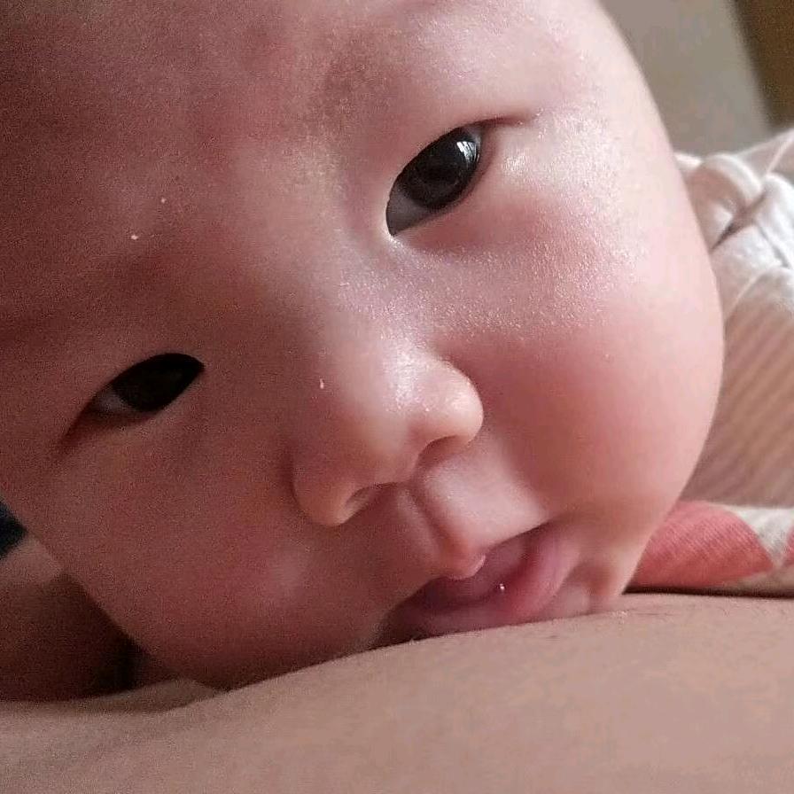 图图爸爸