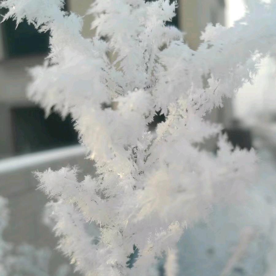 爱吃炒小河虾的  悟心头像