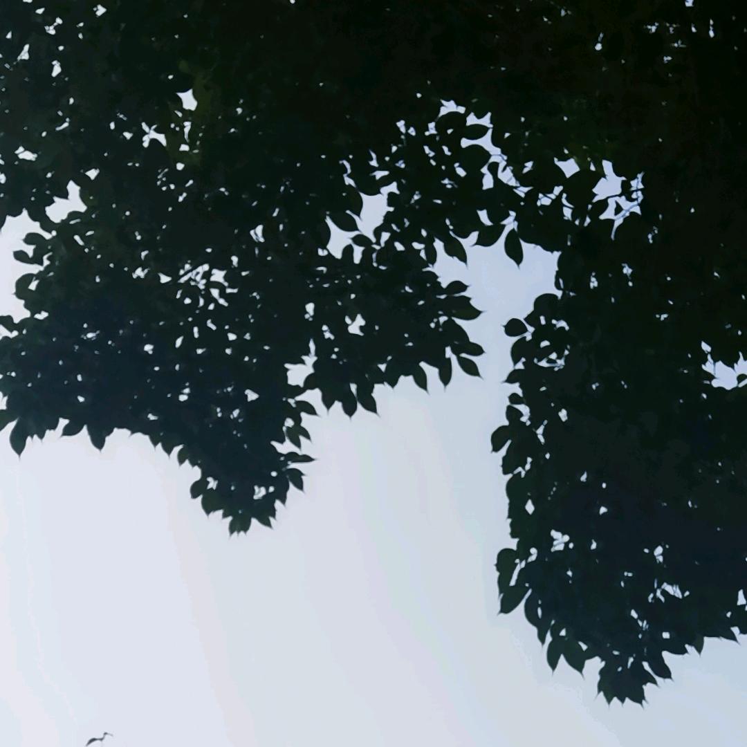 你幸福我快乐