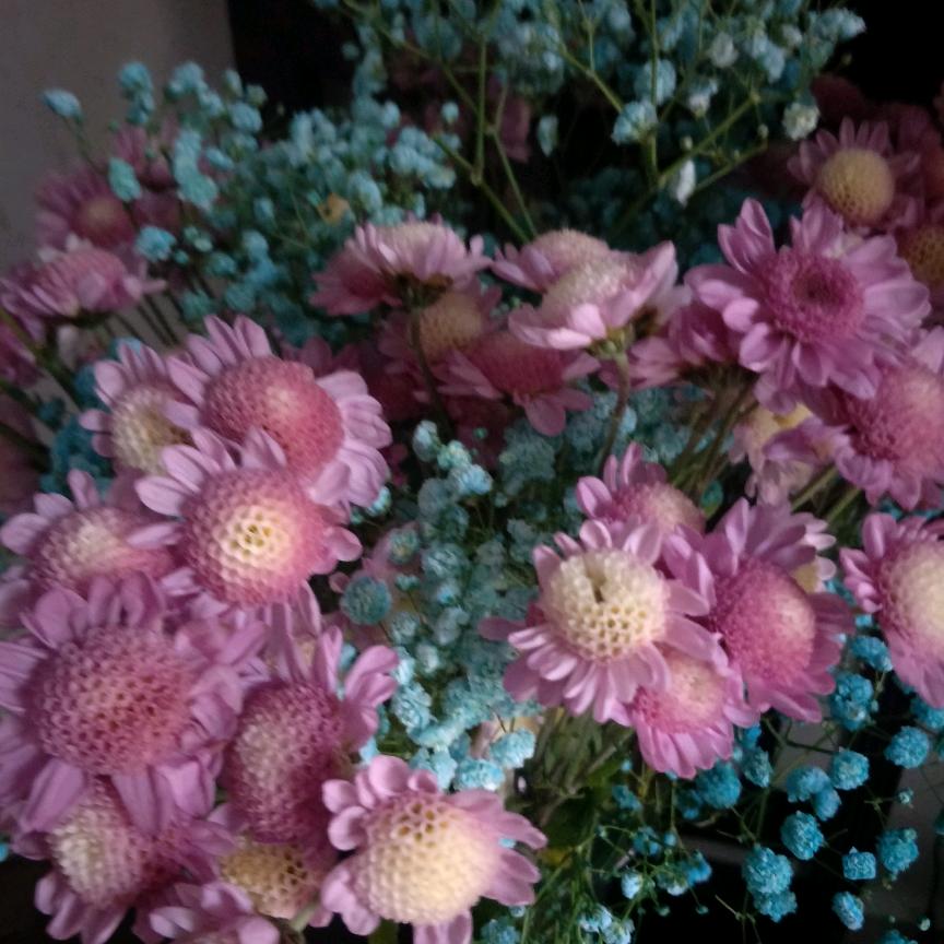 花花世界。