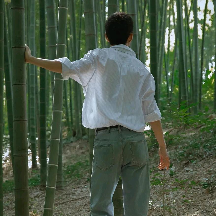 X坚果