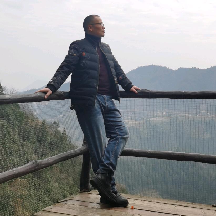 榕树上的鹰