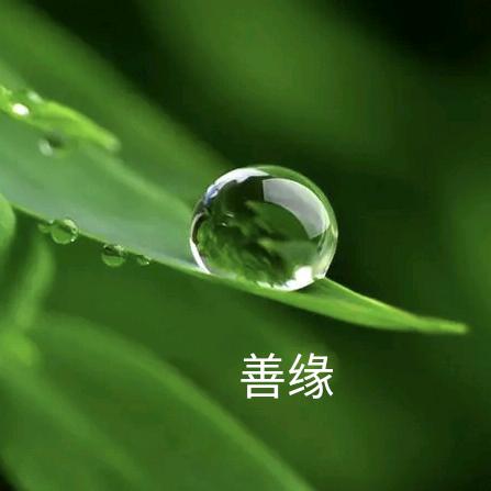 善缘