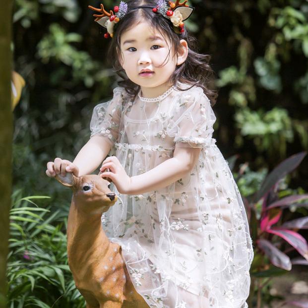 Fm小龙女，机械密封件