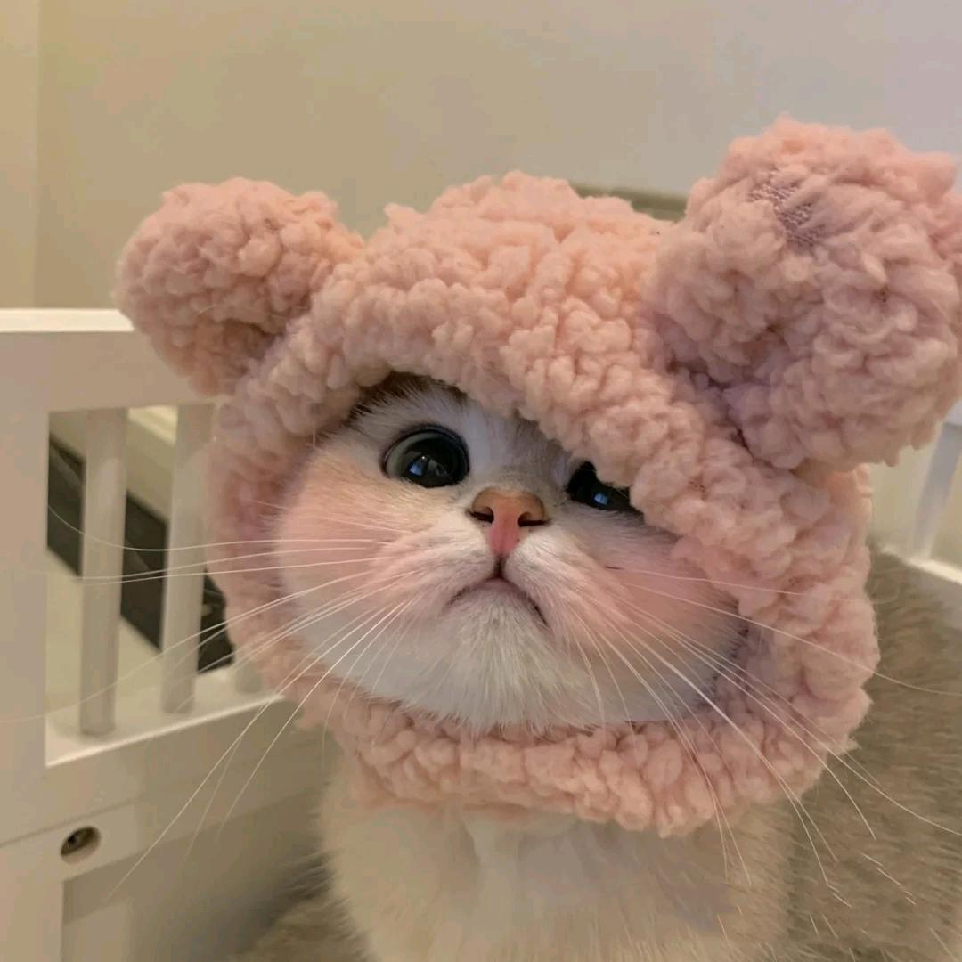 北梦。