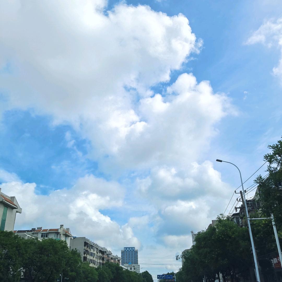 林