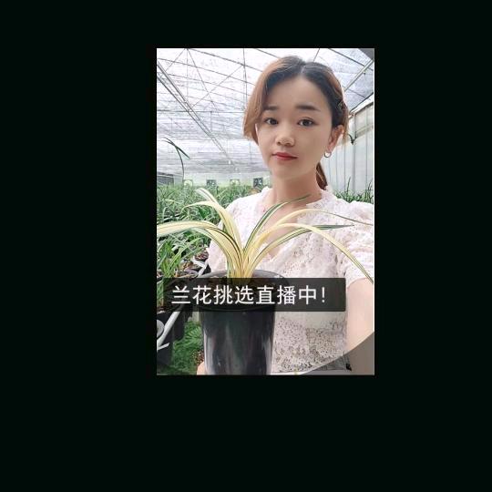 刘小芳兰园品包对版包健康(孕晚期)