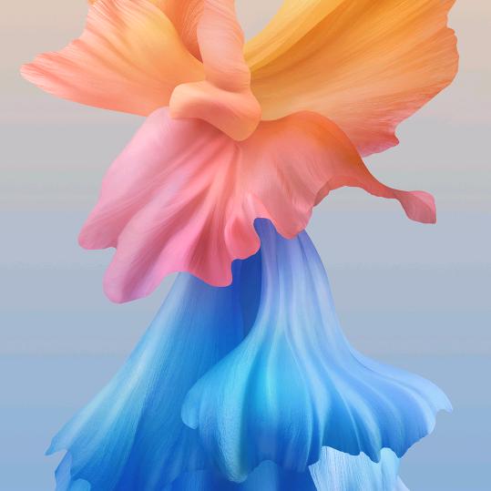 🌈🌈🌈毛毛