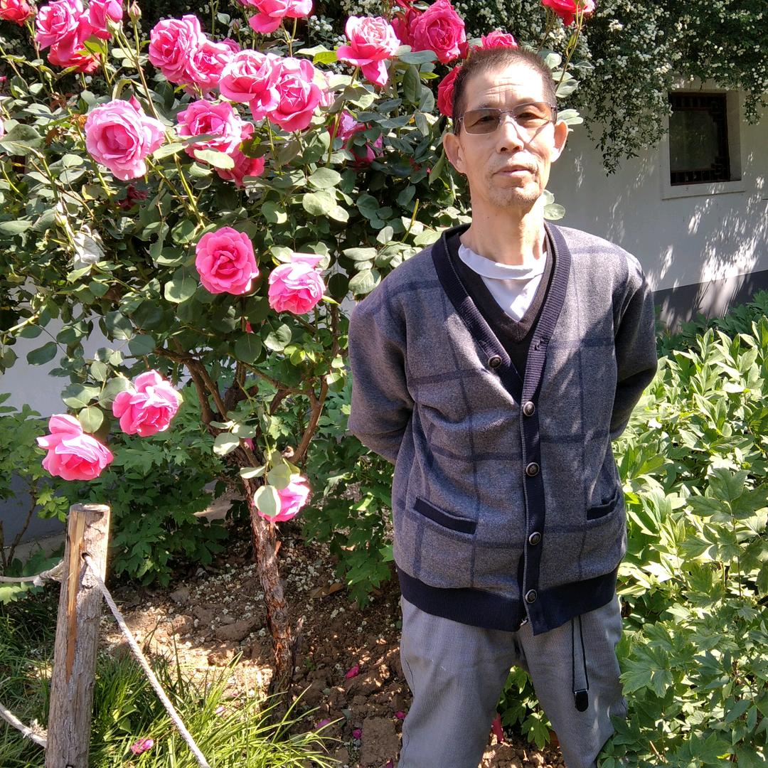 踏遍青山