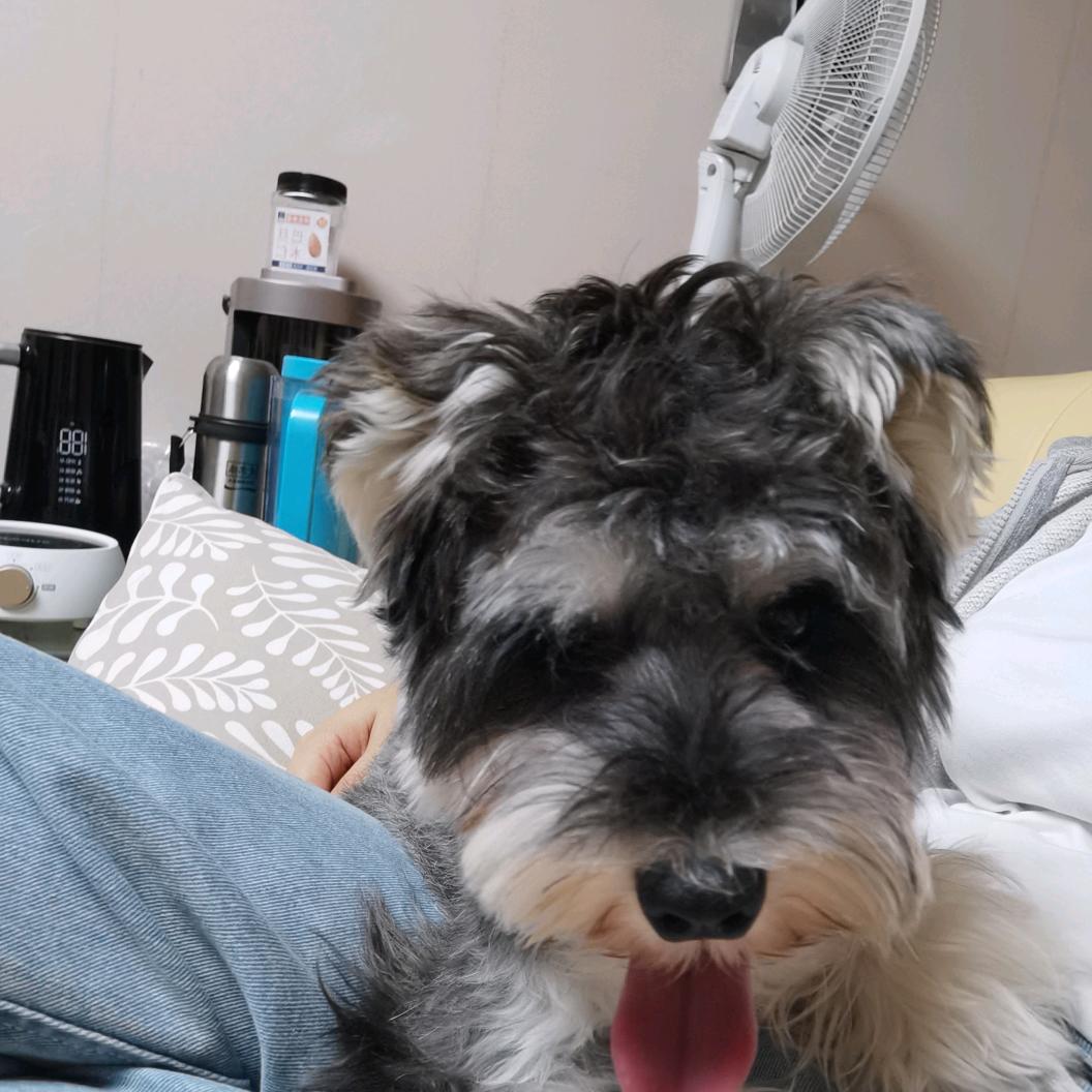 香菜芹菜折耳根