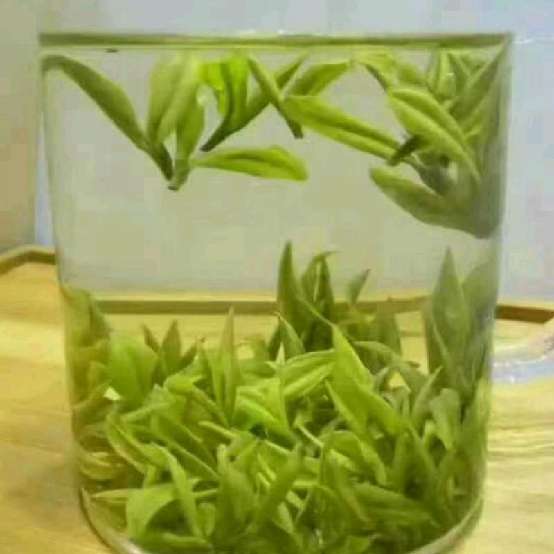 天源生在老山里，茶叶自产自销