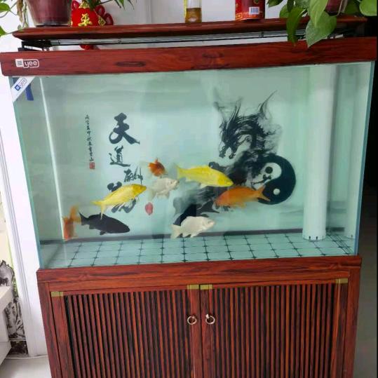 批发鱼缸
