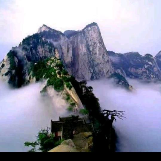 西岳华山妙靈子