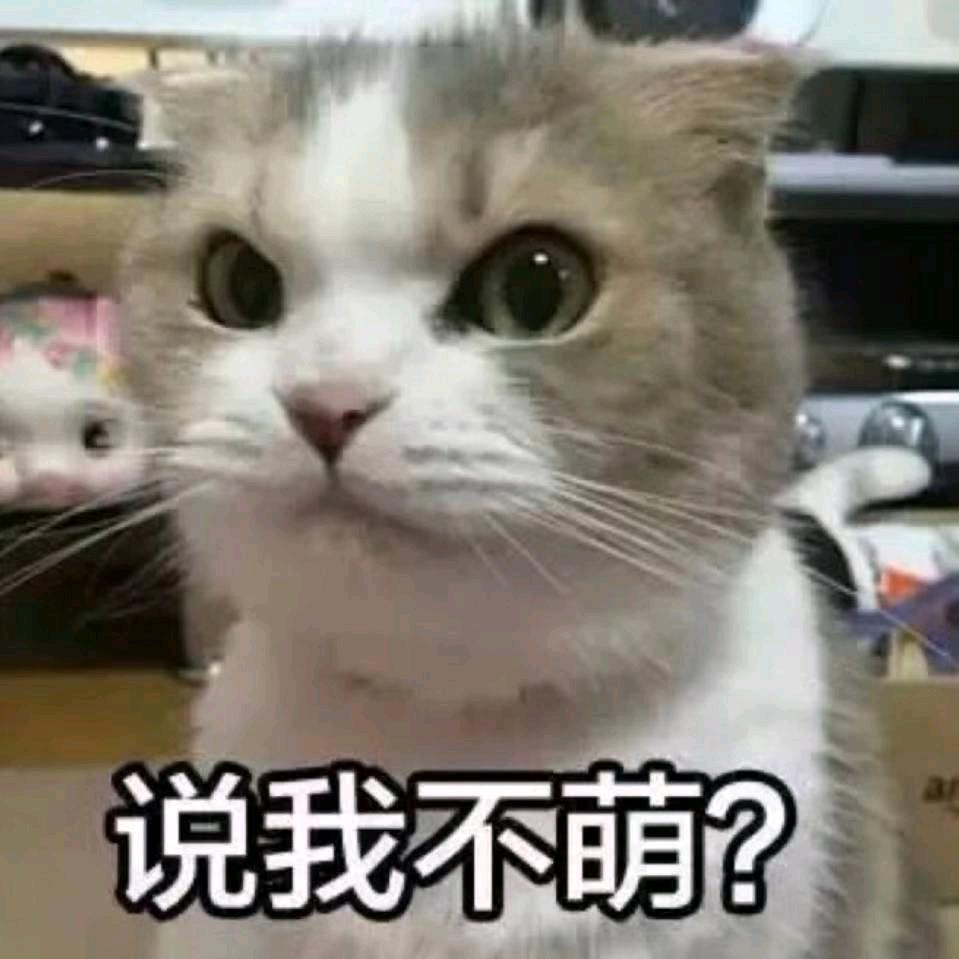 欧皇丶金宇风