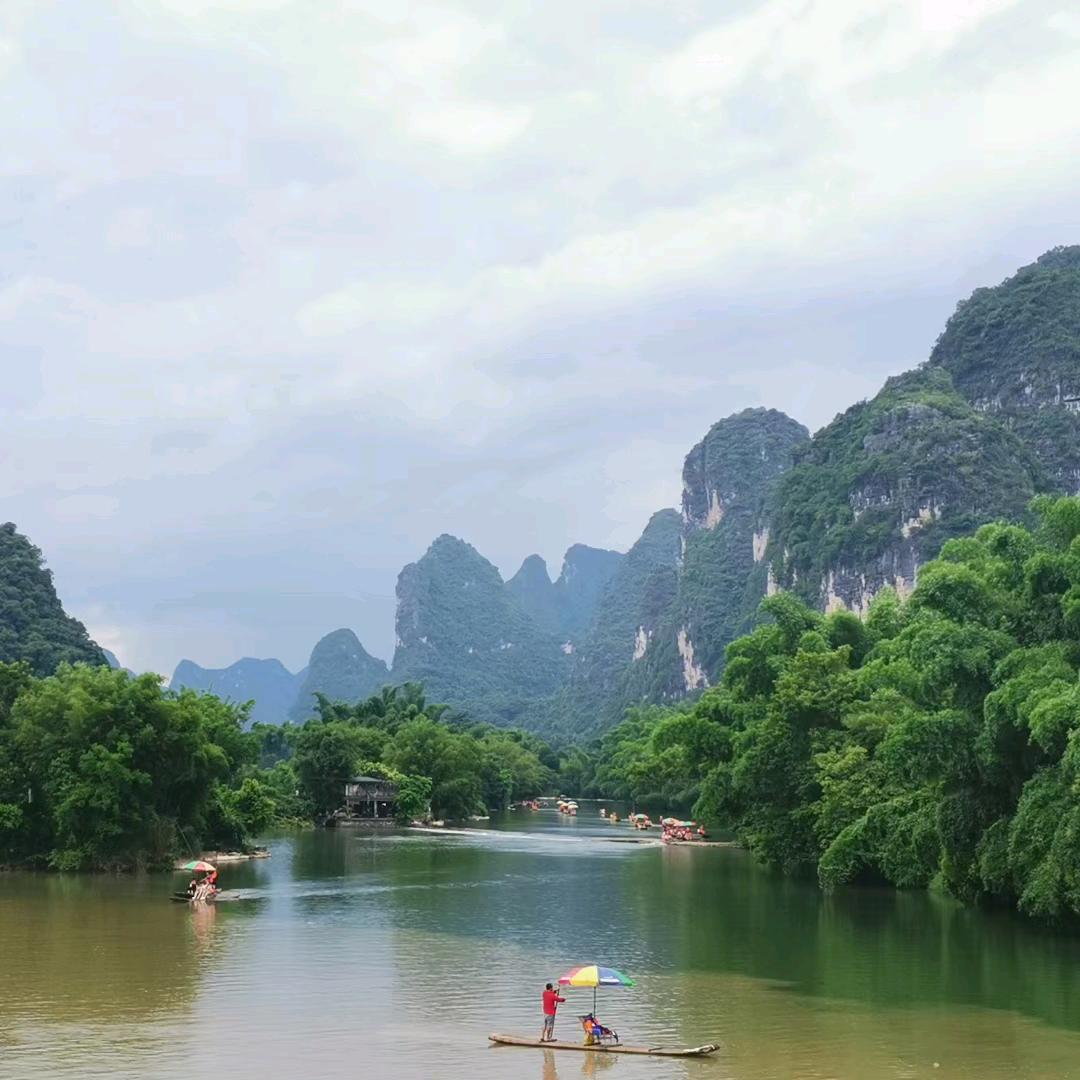 高飞。