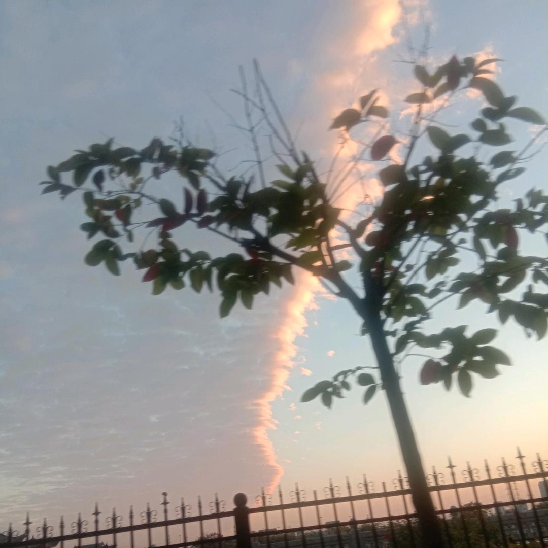 一念成佛.一念成魔