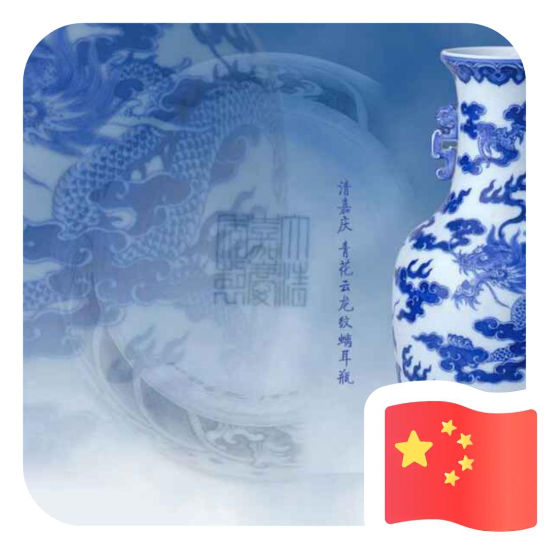 苦丁茶