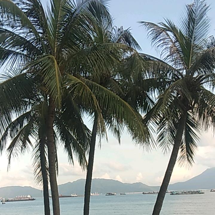东