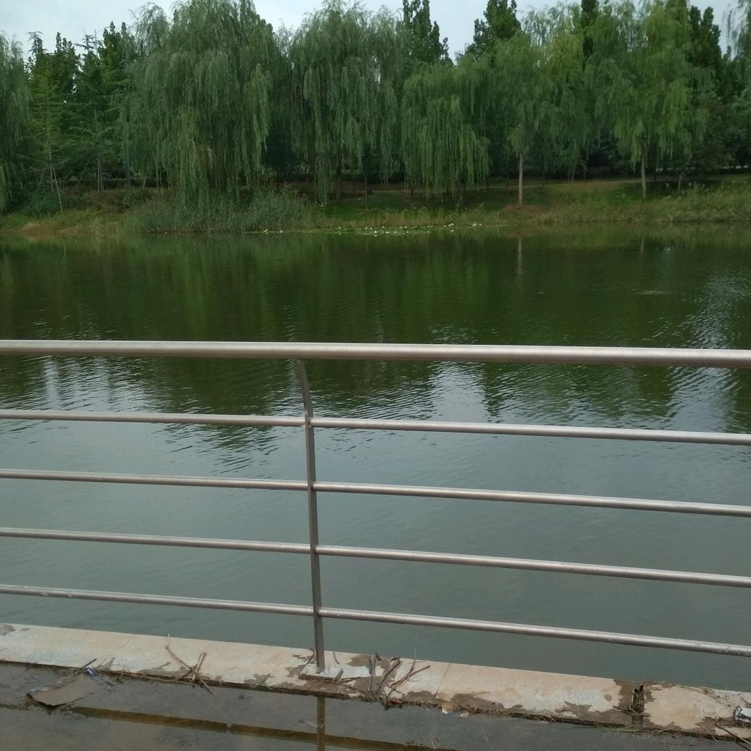 今天再晚也是早