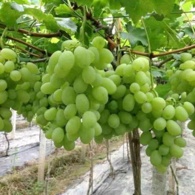 忘掉了一切从新再来